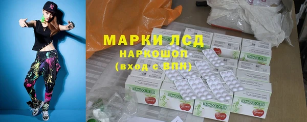 хмурый Алзамай