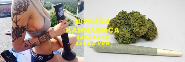 apvp Алексин