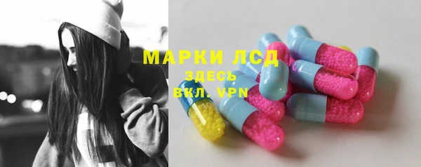 хмурый Алзамай