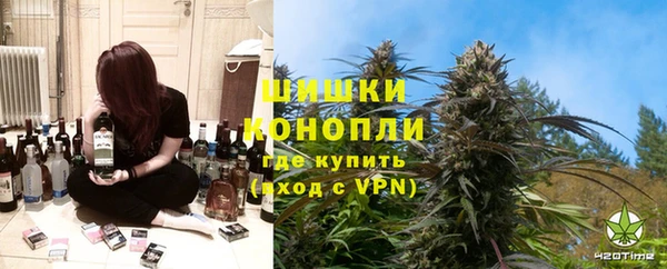 apvp Алексин