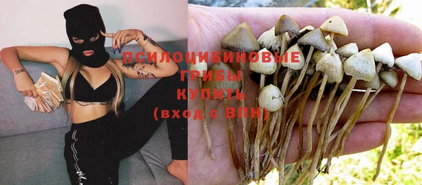 каннабис Абинск