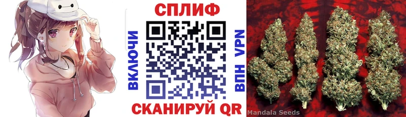 Канабис планчик  мориарти как зайти  Костомукша 